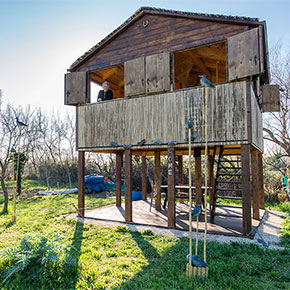 Birdwatching in Torcello